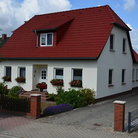 Zinnowitzer Strandgut * Zinnowitz